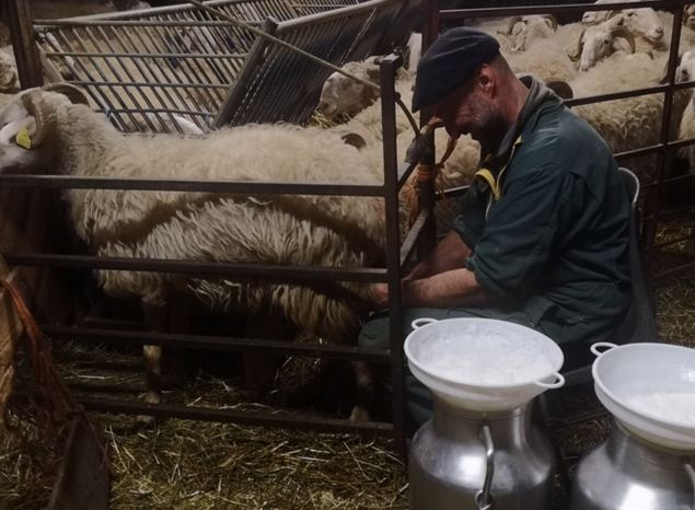 Turismo rural: de ser la respuesta al poscovid, a poderse arruinar