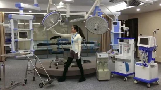 China investiga el trasplante de órganos de cerdos en monos