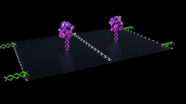 Investigadores chinos desarrollan nanopartículas inteligentes para atacar tumores
