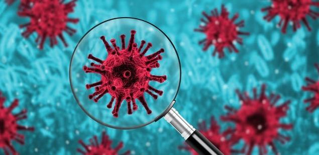 Segunda ola del virus