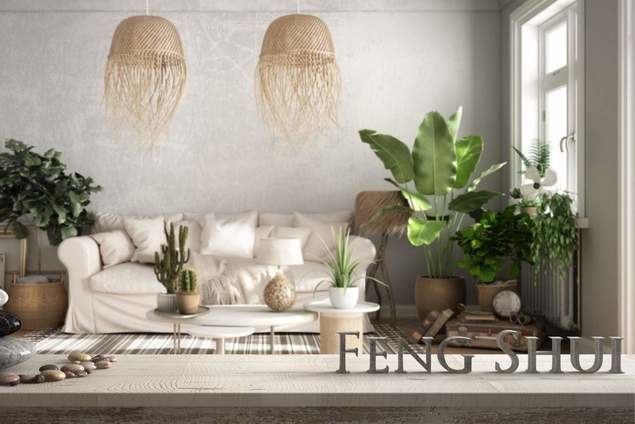 Decoraciones Área Feng Shui

