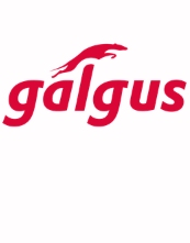 La española Galgus, seleccionada para participar en Facebook Accelerator: Connectivity