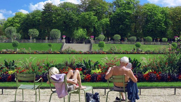 Después de la jubilación: un panorama en constante cambio de nuevas oportunidades