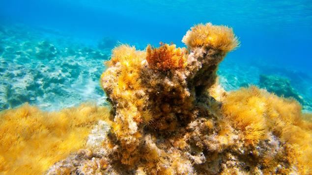 Islas Baleares a la vanguardia de Europa en emprendimiento azul