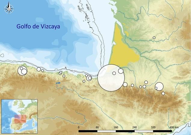 La explotación más antigua de huesos de ballena tiene sello cántabro