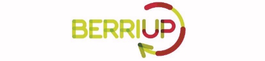 BerriUp amplía su red de mentores y busca startups que quieran acelerar su crecimiento
