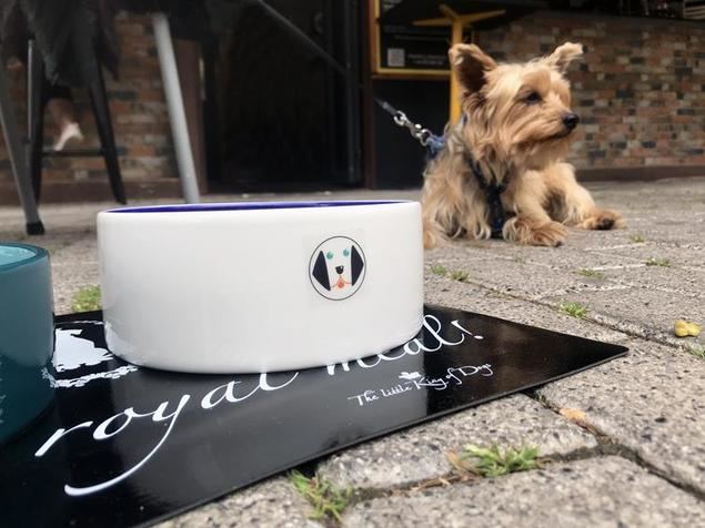 Menú canino, la nueva apuesta en la hostelería valenciana