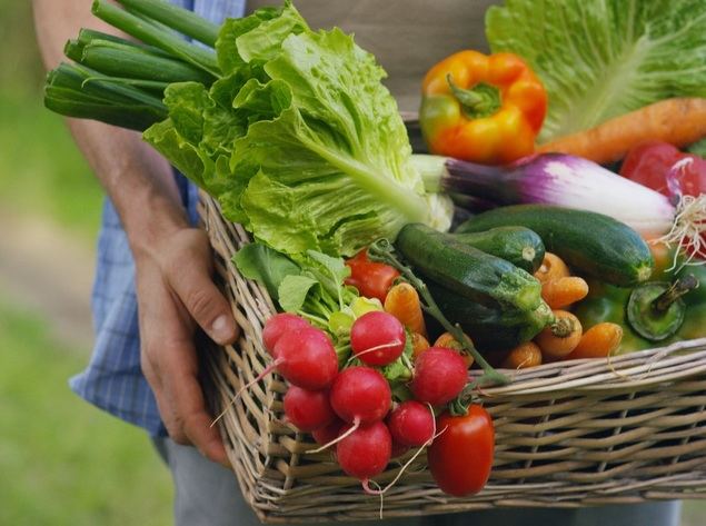 Crece en España un 55% el ecommerce de productos gourmet