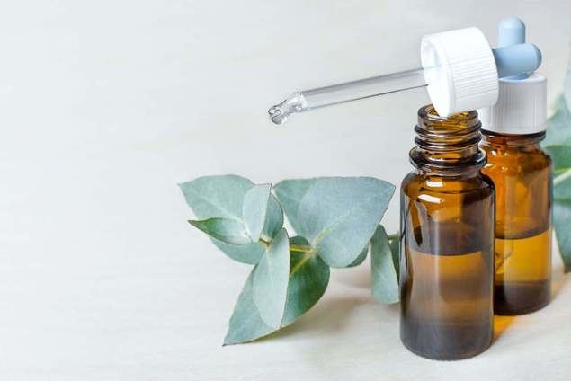 La naturoterapia en España, ¿es popular?
