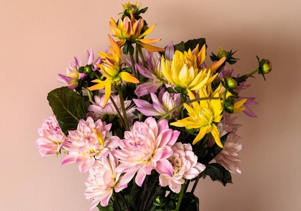 Todo sobre Flor Moments, uno de los ecommerce de flores que más creció en 2020