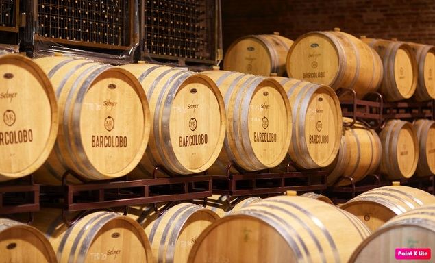 Bodegas Barcolobo: deliciosos vinos fruto del trabajo bien hecho
