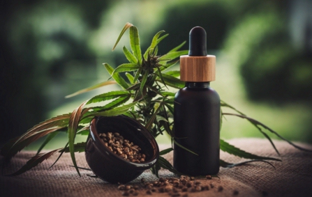 El auge del negocio del CBD: descubre las propiedades terapéuticas del cannabidiol