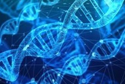 Los test neutralizantes que determinan si la vacunación es efectiva contra el COVID-19 llegan a España