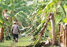 Los Economistas proponen medidas urgentes para reactivar la economía en la isla de La Palma