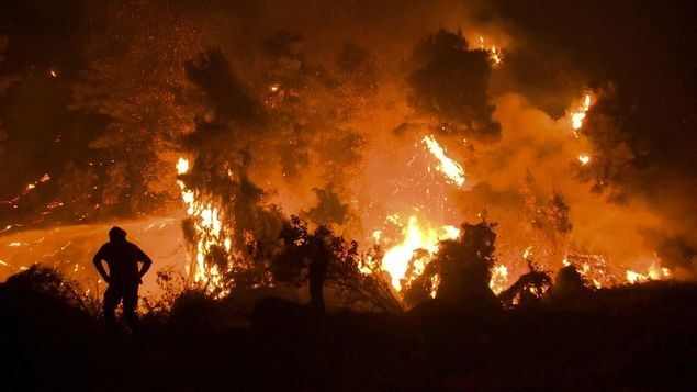 Los desastres naturales y la falta de sentido común