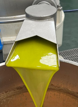 A la cata las inmejorables cualidades de la nueva cosecha de aceite de 'La Casa del Trotamundos'