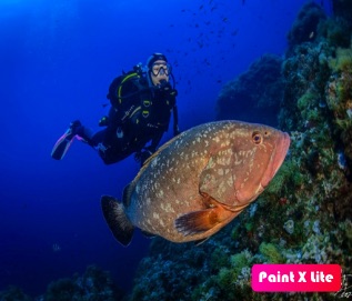 Hagamos del Turismo un factor positivo para la Naturaleza, generando beneficios: Tourism4Nature