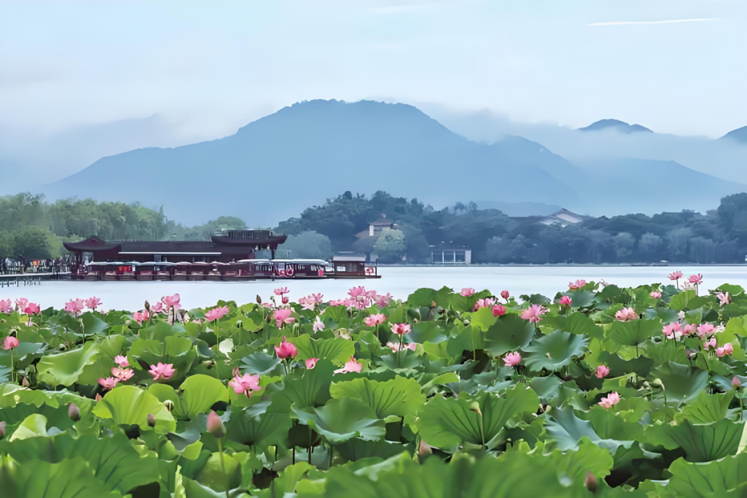 Crónica: hacia la prosperidad común en el campo de Zhejiang