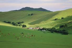 Inner Mongolia's Xing'an League accelerates dev't of green hydrogen-ammonia-methanol industry