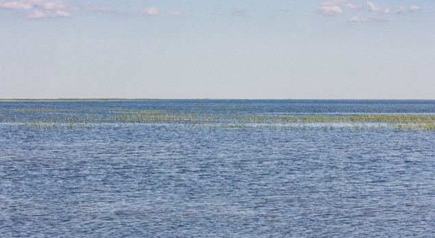 Uzbekistán creará una cubierta vegetal en el lecho desecado del mar de Aral