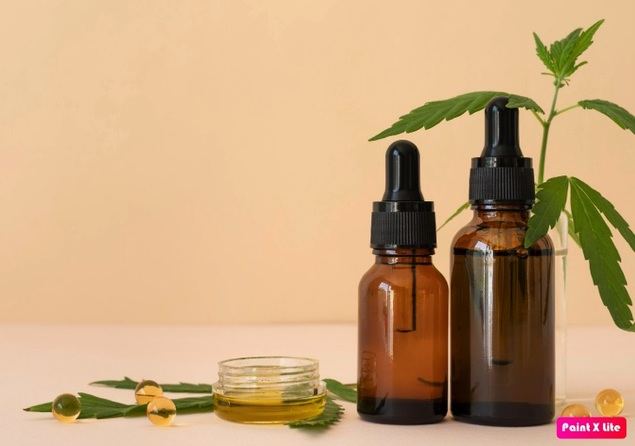 Invertir en cannabis, una manera de alcanzar la libertad financiera