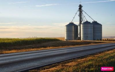 Agrotoken encuentra terreno fértil en Brasil y expande operaciones en la región