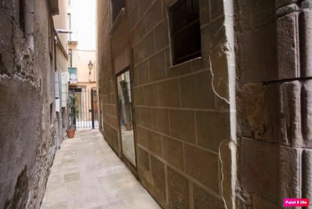 Carrer de les Mosques (Google)