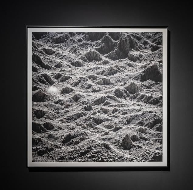 Paisaje Emergente, 2025.