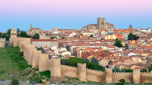 Castilla León necesita a VOX