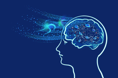 La colaboración chino-cubana en ciencias del cerebro abre nuevos beneficios mutuos de la Franja y la Ruta