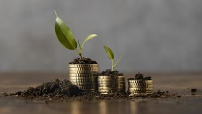 Los bonos verdes, sociales y sostenibles seguirán creciendo exponencialmente