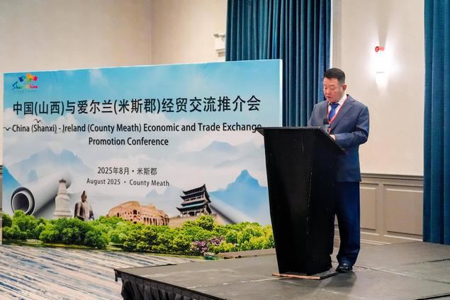 La foto muestra a Zheng Peng, presidente y director de Pengfei Group, dirigiéndose a un evento de intercambio y promoción en Irlanda.