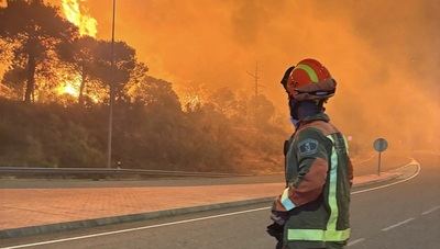 El campo español se hace el 'hara-kiri': la dana terrenal