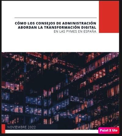 Los Consejos de Administración de las PYMES, 