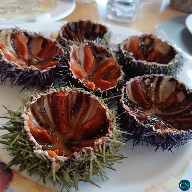 Casa Gallego en Empuriabrava: una de las mejores marisquerías de Cataluña