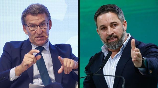 Vox, ¿el mejor aliado del PSOE?