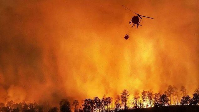 Devastación y... ¿Desidia oficial 'contra Natura'?