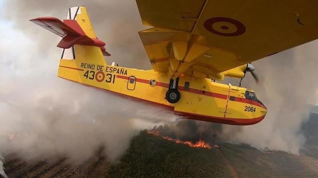 El fuego arrasa más de 12.000 hectáreas en Tenerife y puede estabilizarse en su punto de origen