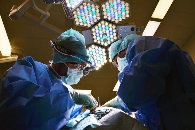 La importancia de los seguros médicos y de vida en el entorno laboral