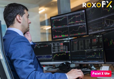 RoxoFX revisión de tipos de cuenta: comparación de opciones y beneficios