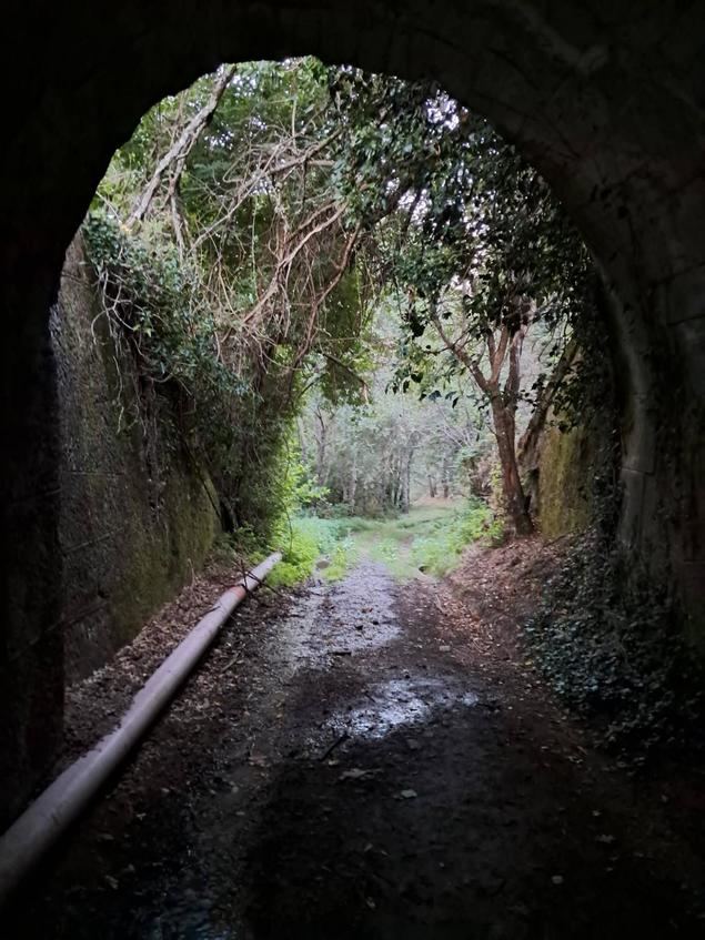 De Requejo a Gudiña.... aún en Zamora, paseo pedanías que sueñan con ser gallegas