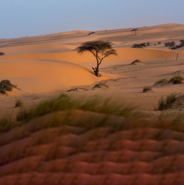 Sahel, el coctel explosivo a punto de implosionar