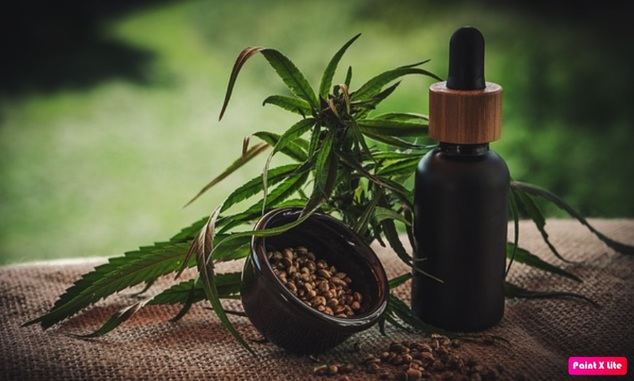 Growshops: requisitos legales en España