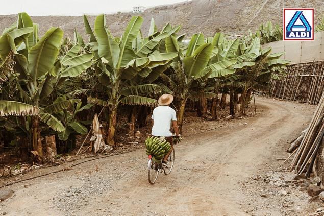 El 36% de las familias madrileñas ha modificado sus hábitos de compra a causa del cambio climático