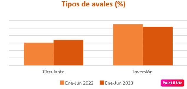 Las sociedades de garantía inyectaron 1.310 millones de euros a pymes y autónomos en el primer semestre de 2023