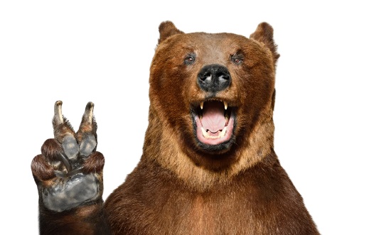 No se entusiasme con las subidas de los mercados bajistas