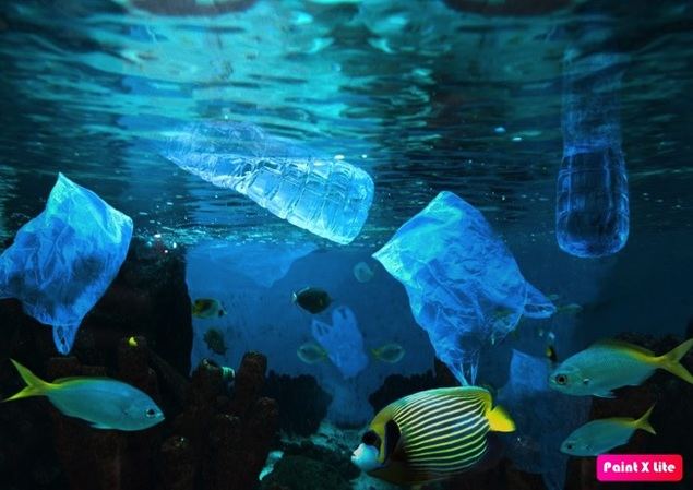 En España utilizamos unas 150 bolsas de plástico al año por persona