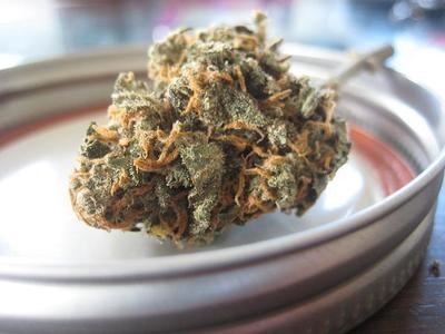 España y su papel comercial con el CBD