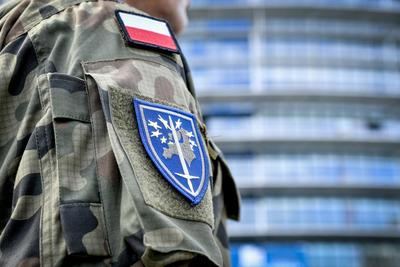 La fastidiosa disyuntiva del ejército comunitario