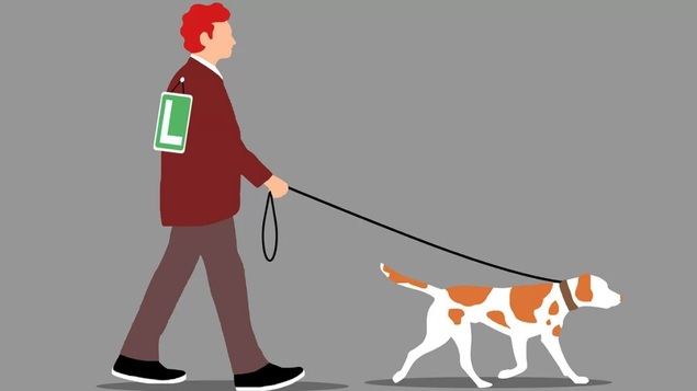 El Anteproyecto de Ley de Protección y Derechos de los Animales a debate